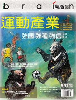 newspaper